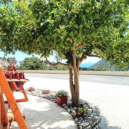 Eirini Apartment เคฟาลอส ภายนอก รูปภาพ